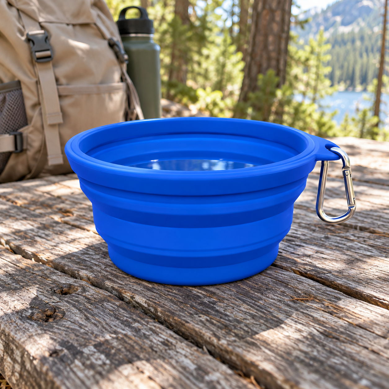 Collapsible Silicone Travel Bowl