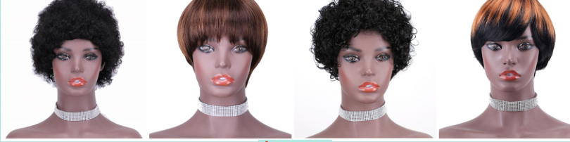 100% human hair wig